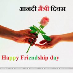 friendship dsy
