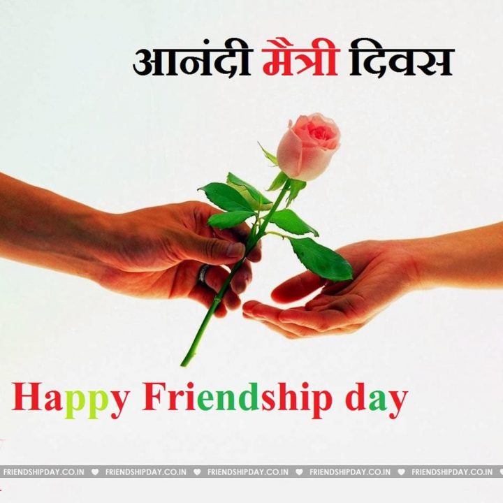 friendship dsy