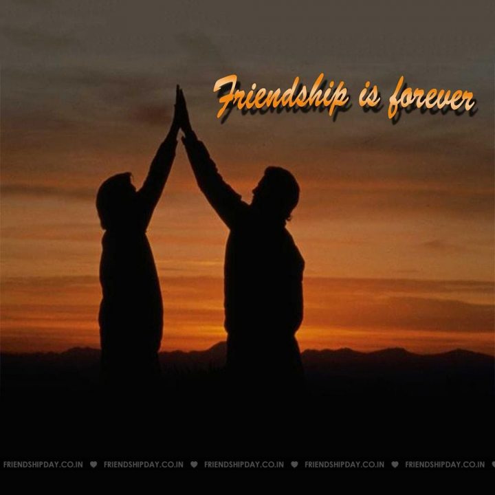 When is international friendship day