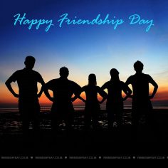 Friendship day india 2016