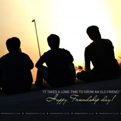 When friendship day celebrated
