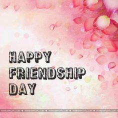 Happy friendship day to my sister