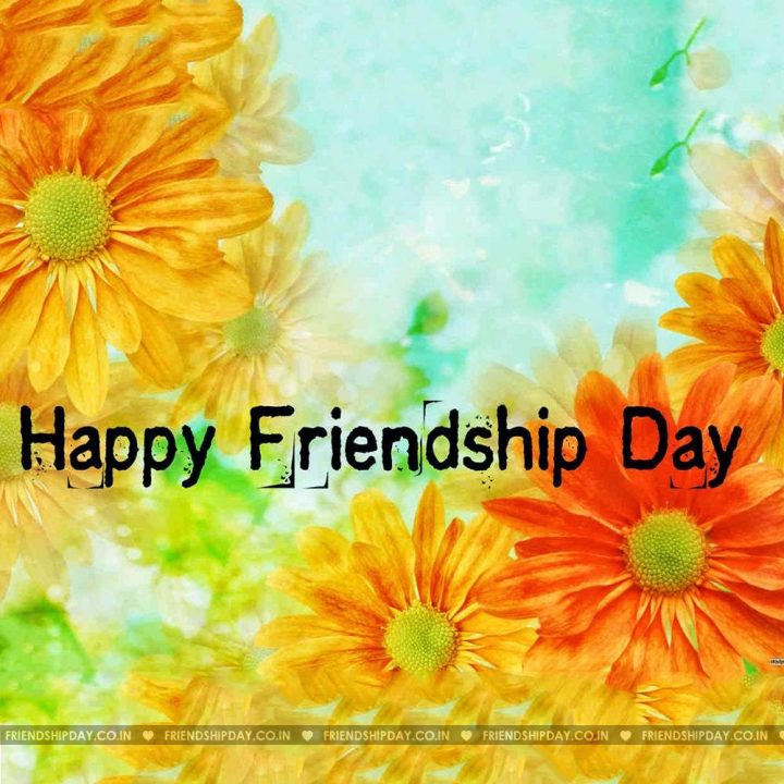 Freandship day