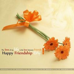 Friend ship day 2016