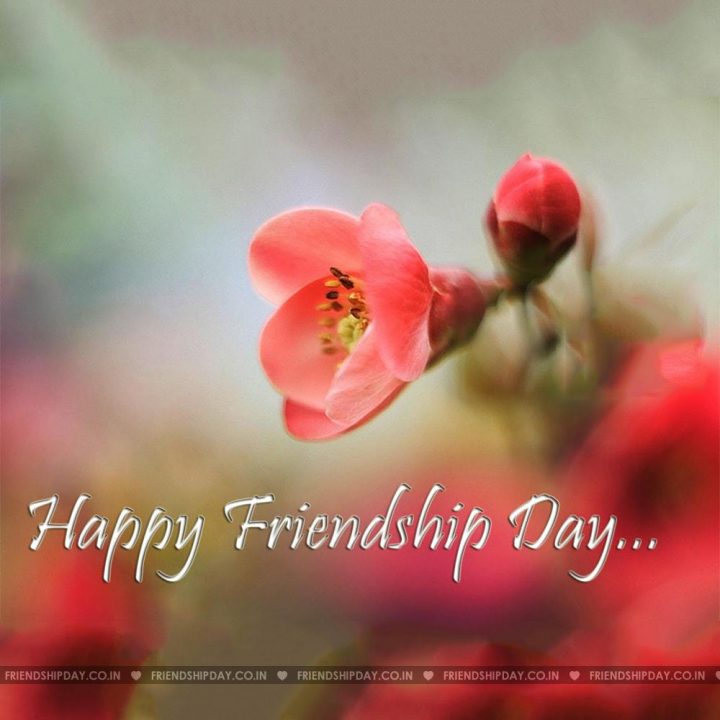Friendship day uk
