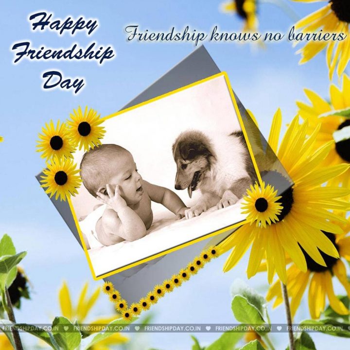 When is friendship day 2016
