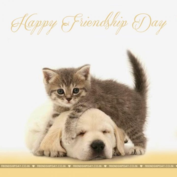 Frindship day photos