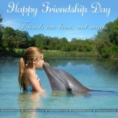 Friendship day is on
