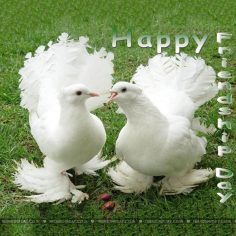 Friendship Day Messages Valentine 37