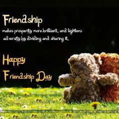 what is international friendship day