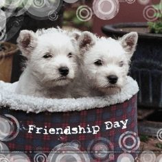 Photos for friendship day